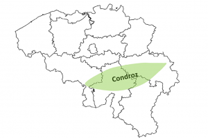 Carte de Belgique avec zone condroz